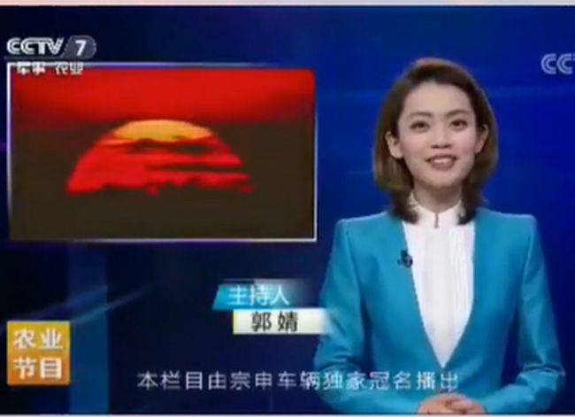 了不起的好麗友：郭婧，畢業于中國傳媒大學，現就業于中央電視臺